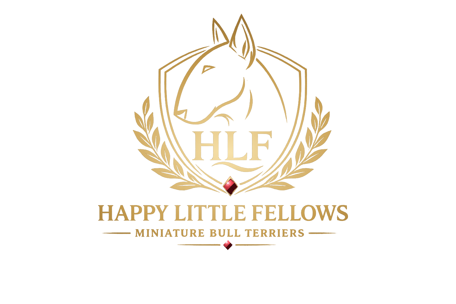 Happy Little Fellows — Miniature Bull Terriers